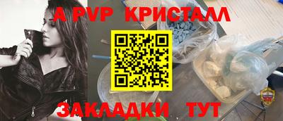 тгк Кингисепп