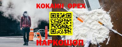 тгк Кингисепп