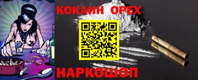 тгк Кингисепп