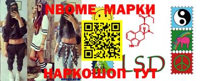 тгк Кингисепп