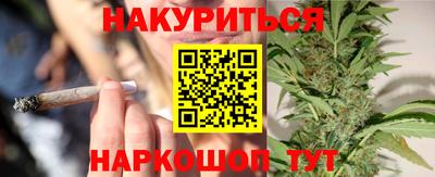 тгк Кингисепп