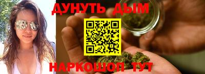 тгк Кингисепп
