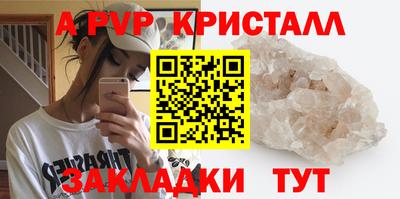 тгк Кингисепп