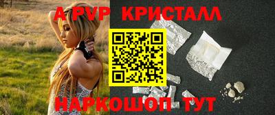 тгк Кингисепп