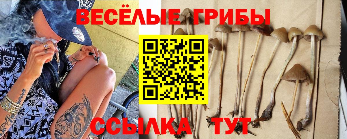 Королёв  где найти   Вход с VPN  Псилоцибиновые грибы GOLDEN TEACHER  Галлюциногенные грибы ЛСД 
